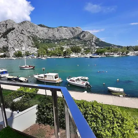 Iva Omis